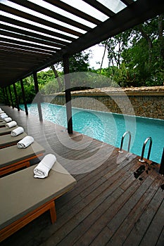 Resort hotel swimming pool, tropical landscaping