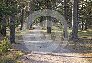 Resort landscape with two cyclists