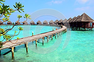 Resort in Maldives photo