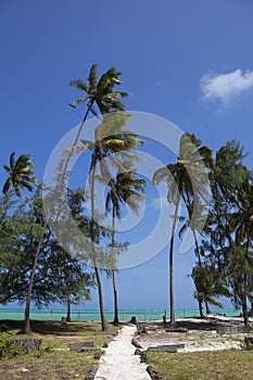 Beach resort with palm trees,Zanzibar island,Tanzania