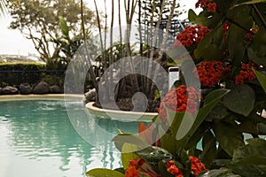Resort Pool Luxuries photo