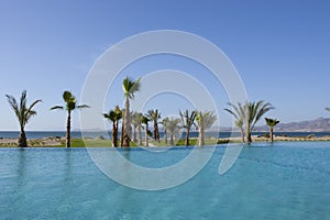 Resort Pool with Palm Tree and Sea View