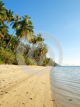 Resort on a tropical island in the ocean. Palm trees on the beach. Clear water. Dream vacation