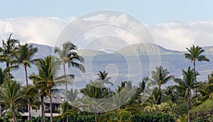 Resort in Waikoiloa with Mauna Kea in background