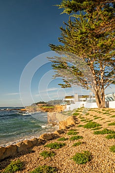 Resort by the water in Pebble Beach California, vertical image.