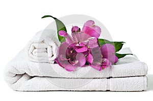 Resources for spa, white towel and flower