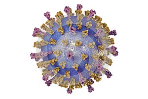 Respiratory syncytial virus photo