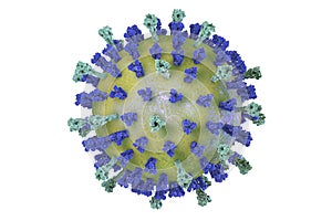 Respiratory syncytial virus photo