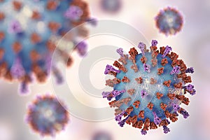 Respiratory syncytial virus photo