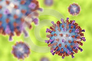 Respiratory syncytial virus photo