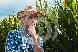 Responsible corn farmer in field thinking