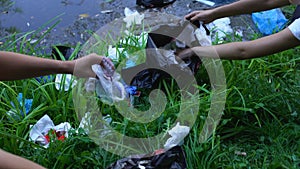 Responsible volunteers cleaning landfill in forest, collecting waste in bags