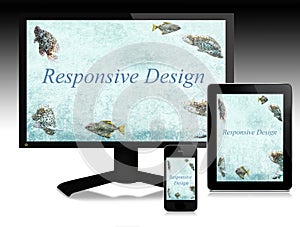 Responsive design, scalable websites photo