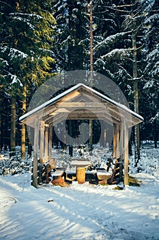 Rest area in the forest II