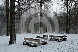 A rest area in the forest in winter