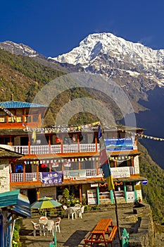 Rest Area, Guest House, Annapurna Conservation Area, Himalaya, Nepal