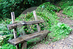 Rest area at the Lost Waterfalls hiking trail near Boquete, Pana