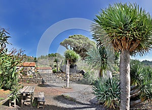 Rest area near Puntagorda (La Palma, Canary Islands)