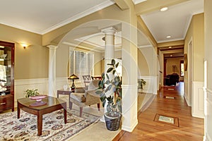 Rest area with old antique furniture, leather armchair, soft armchair