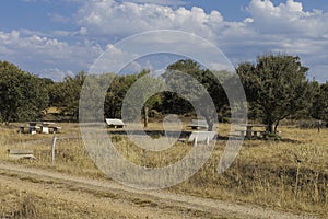 Rest area for the pilgrims walking in the Camino de Santiago, Leon, Spain.