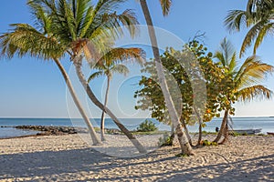 Rest Beach in Key West