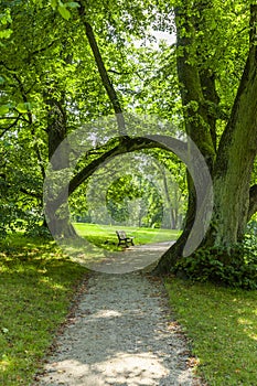 Rest bench in a park