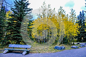 A rest among the fall colours