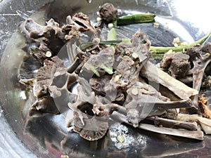 Rest of food - chicken bones on a plate