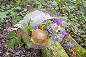 Rest in the forest, a picturesque still life at a halt, a summer bouquet of flowers, mushrooms and berries and women`s hat, lying