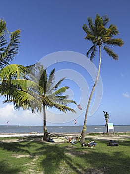 Rest in hammock among Caribbean palm trees. Kitesurf in turquoise waters of the Caribbean. Tropical chilling out