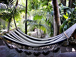 Rest in a hammock in Costa Ricas tropical jungles photo