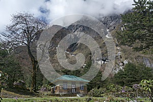 Rest house at Yumthang Valley, Lachung, Sikkim, India