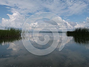 Rest on the lake river reeds