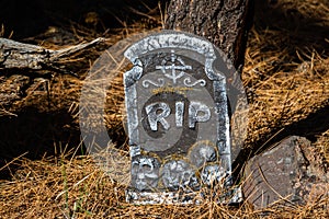 Rest in Pest grave marker in a haunted forest