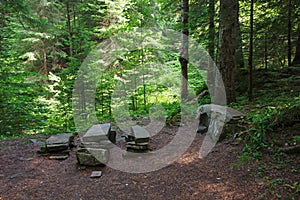Rest place in forest