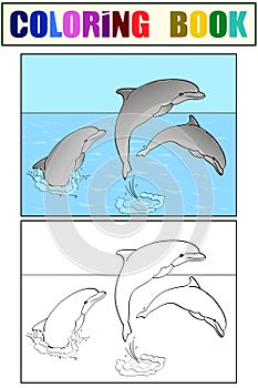 Rest on the sea, three dolphins play in the water. Book coloring and color for children