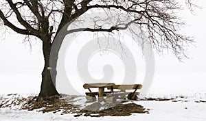 Rest Seats in a winter Landscape