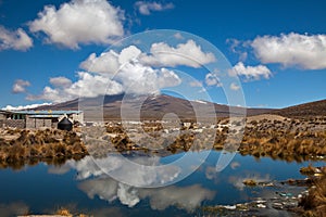 Rest Stop Colca Canyon