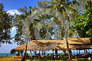 Restaurant, Beach and trees, Phra Ae Beach, Ko Lanta, Thailand