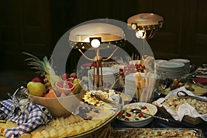 Restaurant buffet series