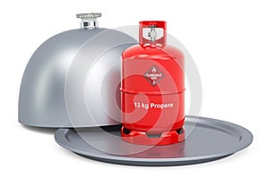 Restaurant cloche with propane cylinder with compressed gas, 3D rendering