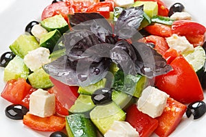 Restaurant healthy food - greek salad