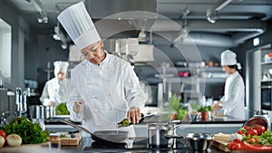 Restaurant Kitchen: Black Female Chef Cooking Delicious and Traditional Authentic Food, Uses Oil on