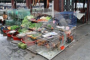 Un ristorante vita gli animali Schermo 