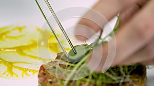 Restaurant's chef prepares a meat tartare dish and finishes it off by garnishing it with herbs. Haute haute cuisine