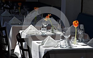 Restaurant White Cloth Tables