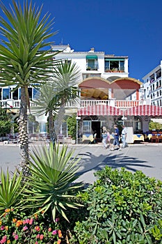 Restaurants and bars in Duquesa port in Southern Spain photo