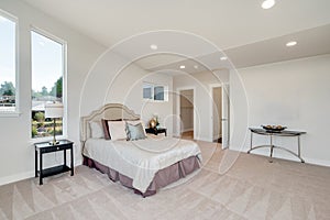 Restful bedroom interior with master bed placed under a sloped ceiling