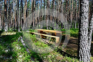 Resting area table and bench in a Swedish forest photo