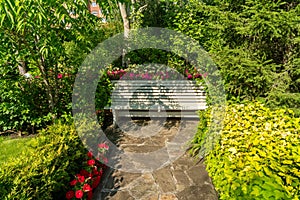 Resting bench stands in a secluded corner among flowers, trees and trimmed shrubs in a park on a sunny day in summer